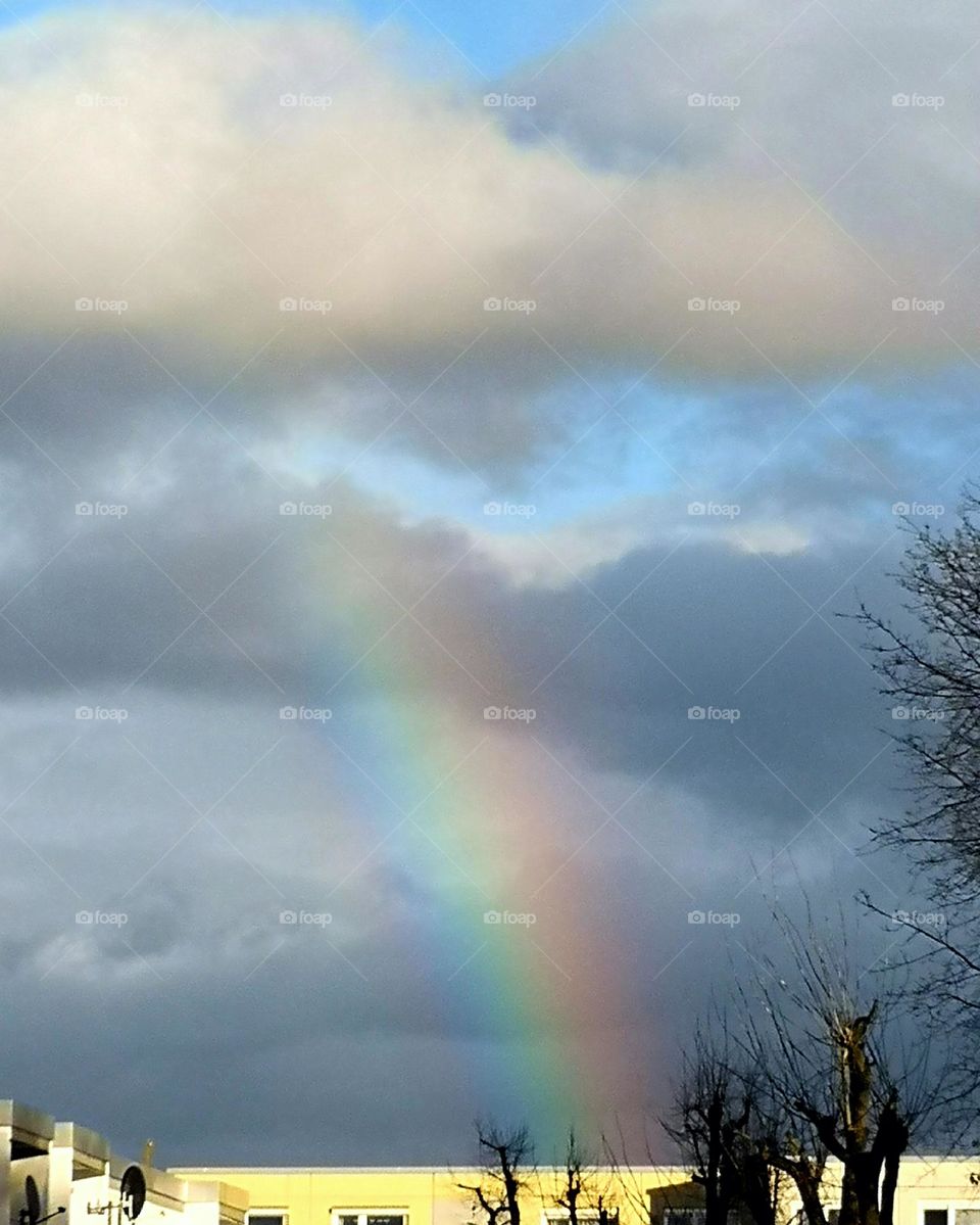 Regenbogen