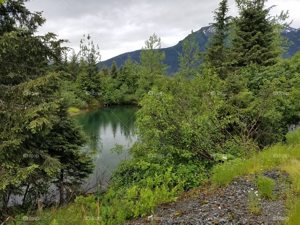 Landscape, Nature, Water, Wood, River