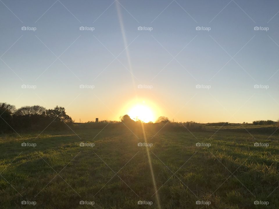 Olá, amigo #Sol!
Há de ser uma semana maravilhosa e brilhante. 
☀️ 
#natureza 
#paisagem 
#fotografia 
#céu
#FotografeiEmJundiaí 