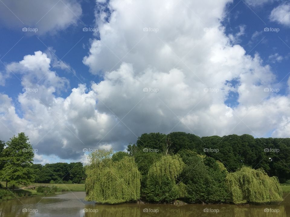 Whit clouds over a park