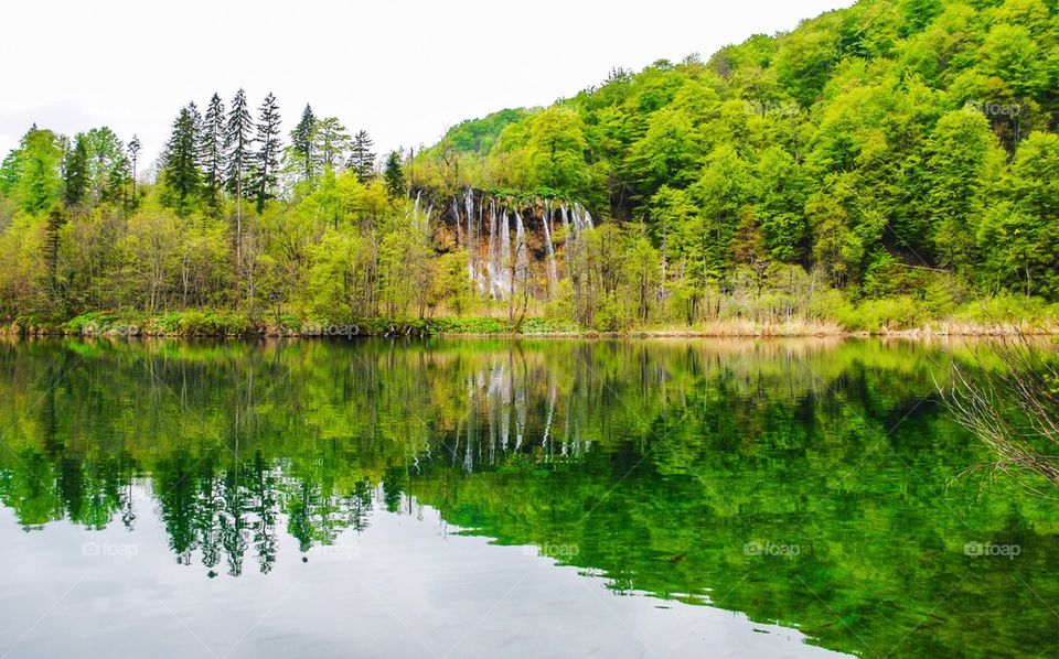 Reflection of trees and waterfall