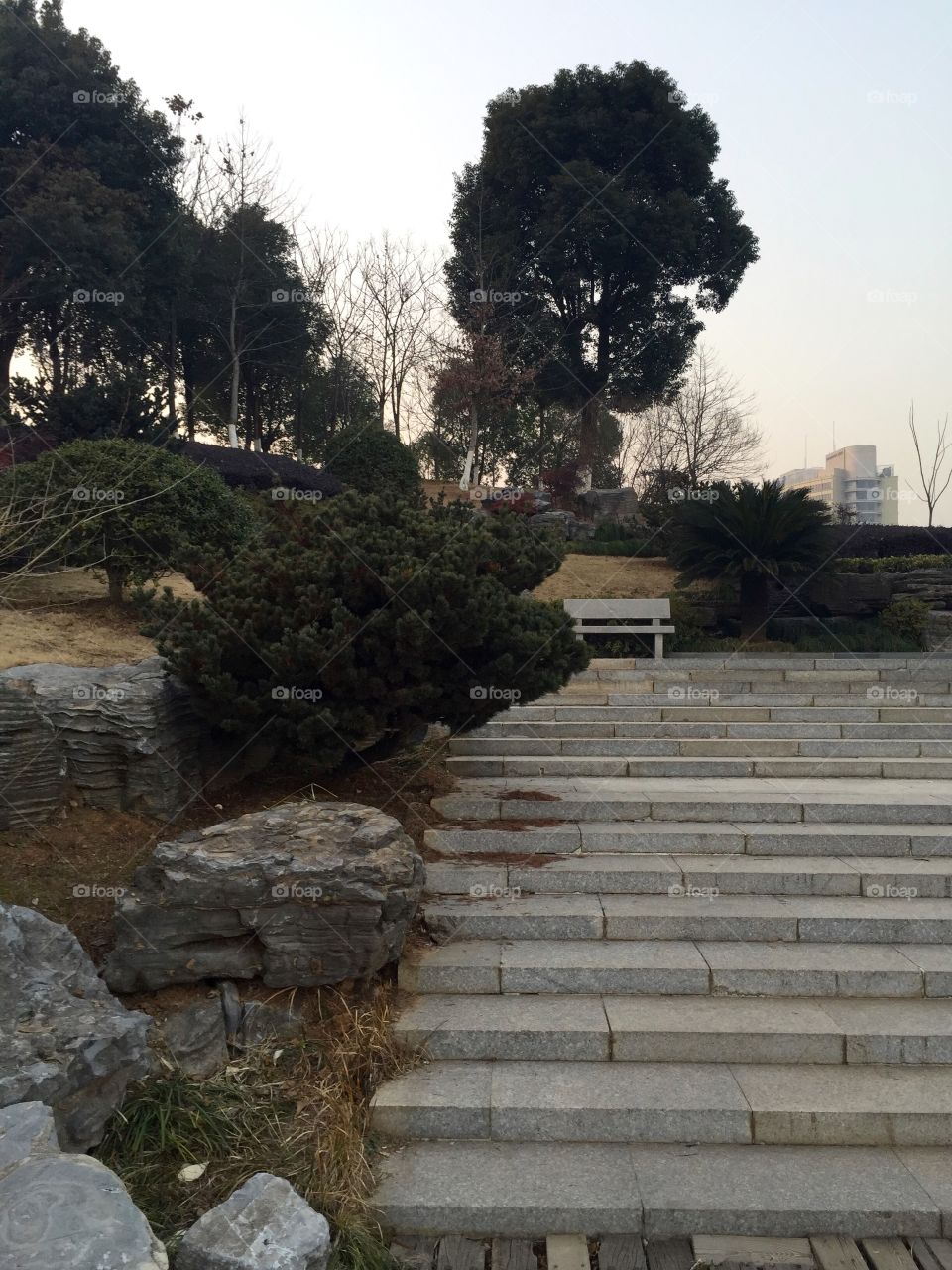 A park in Yiwu