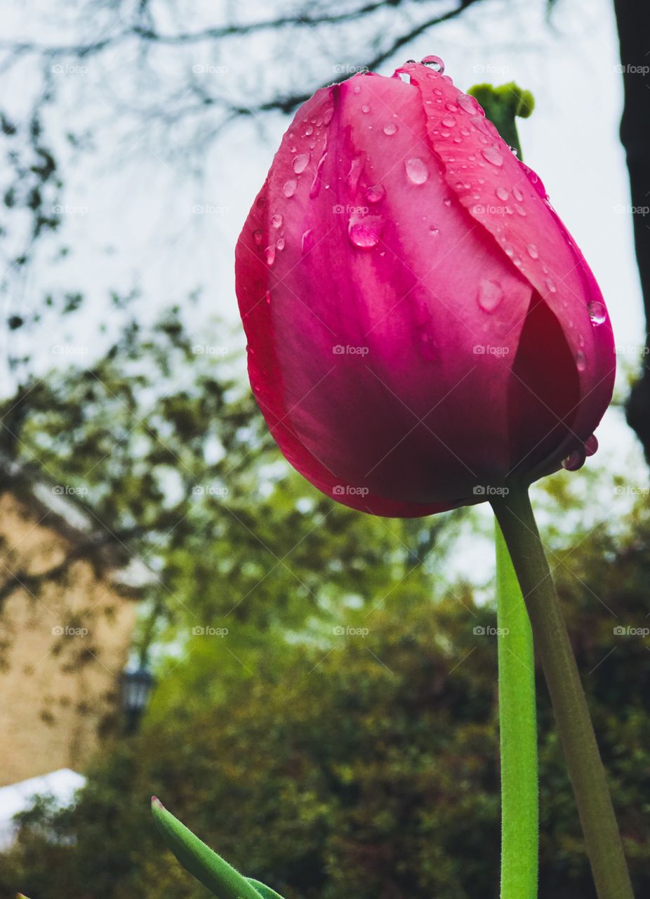 Aah! Spring!! Finally!!!