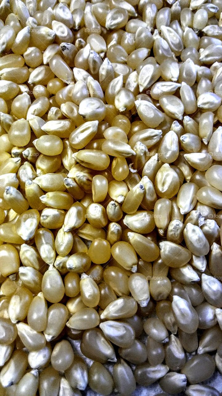 Kernels