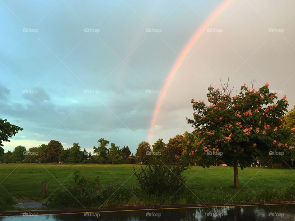 Rainbow after a storm in Uxbridge, Middlesex, England. 🌈