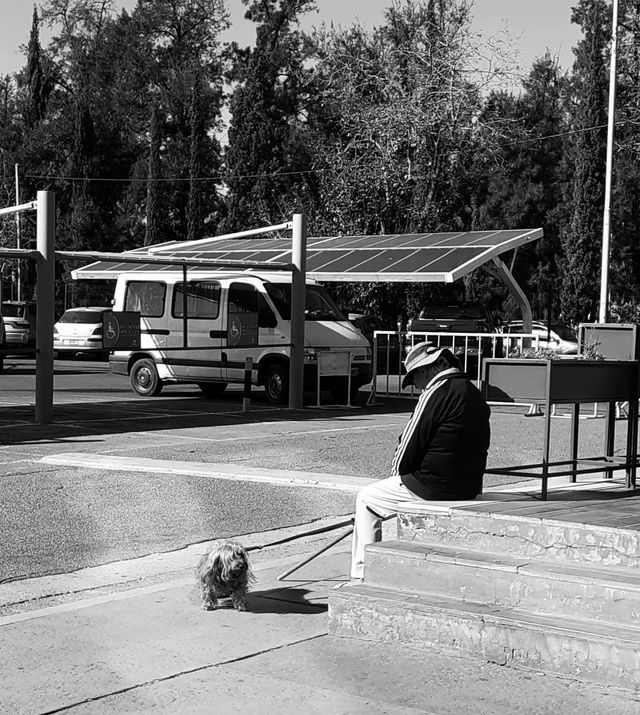 el abuelo y su perro