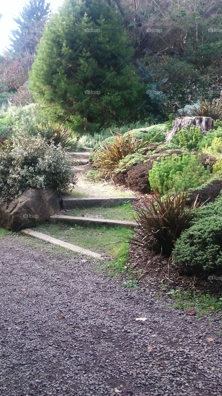 stairway in the park