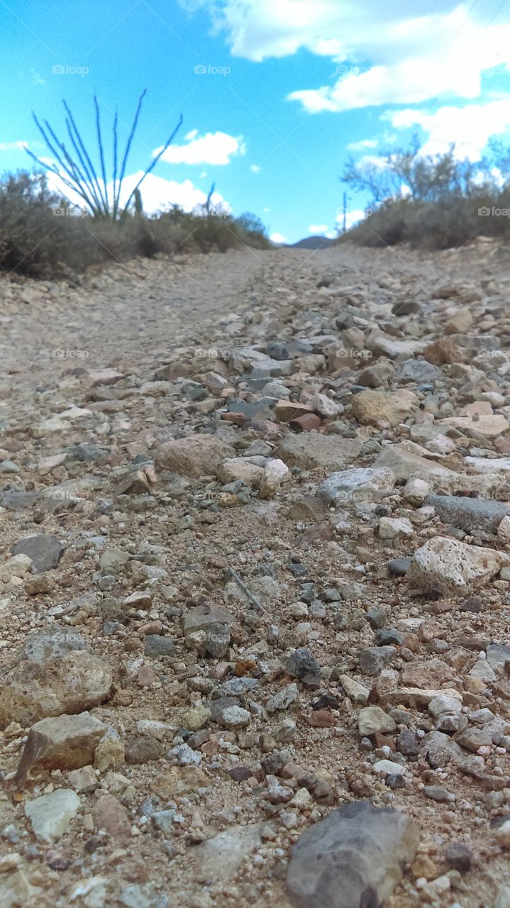 An Old Desert Road