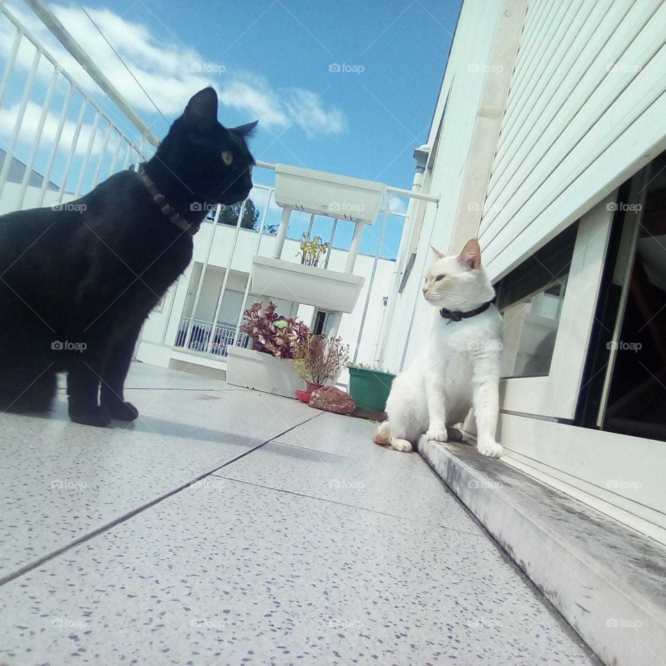 Getting some sunshine