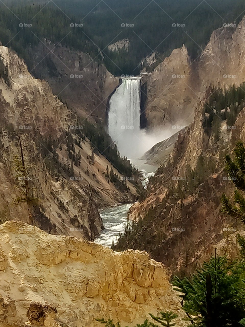 water falls Yellowstone National Park