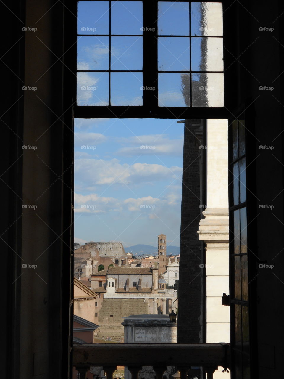 Roma in the windows