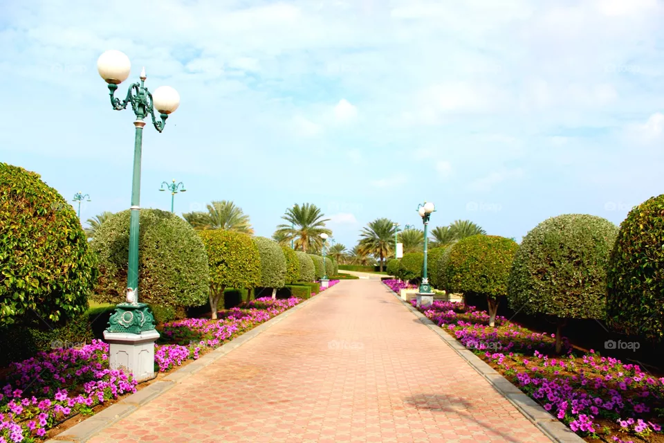 Park