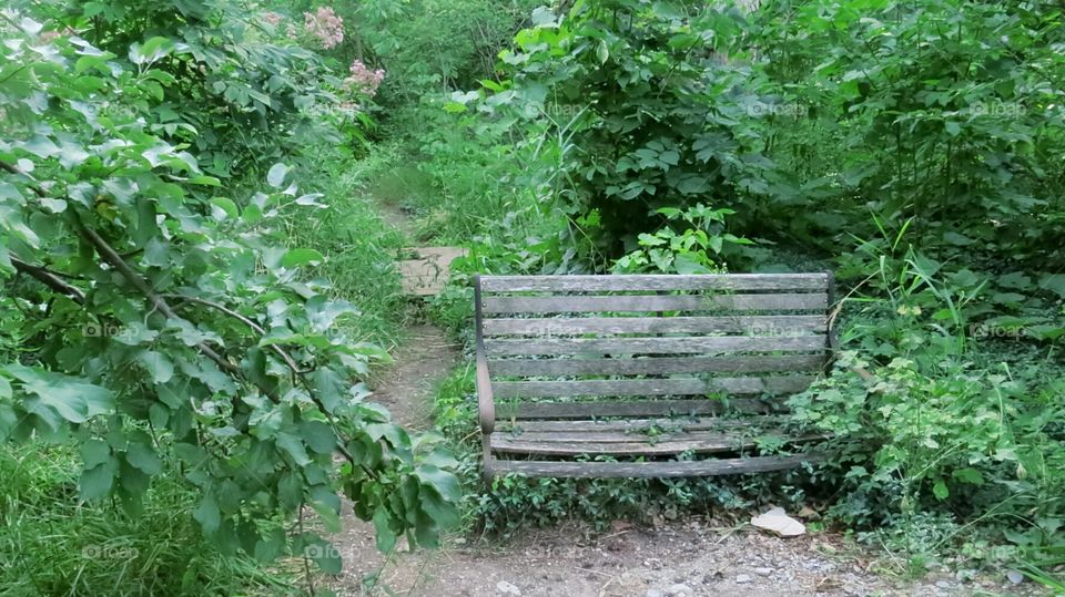 A rest before the walk