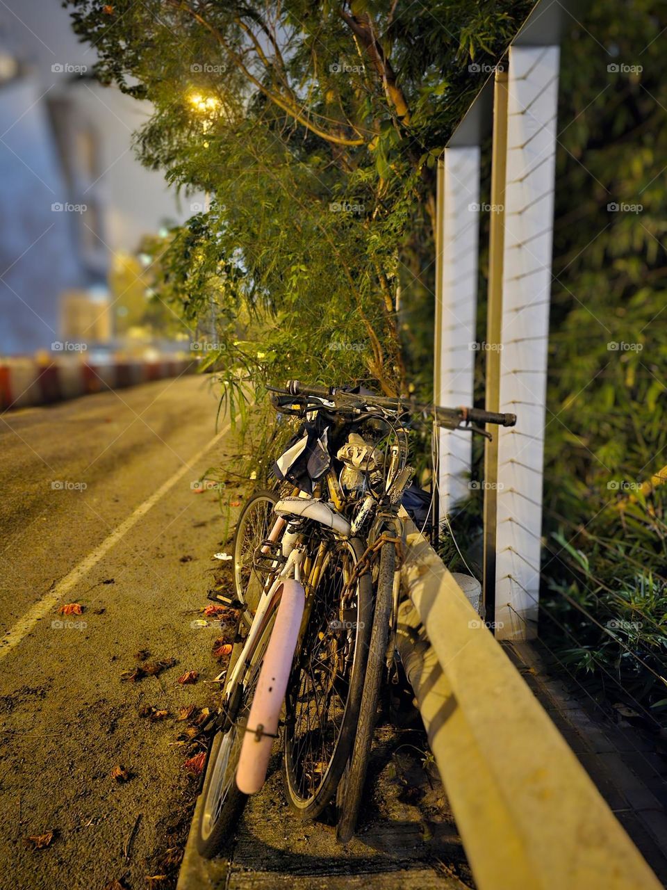 Bicycles at the roadside by the plants and fence seen at night in Kowloon Hong Kong