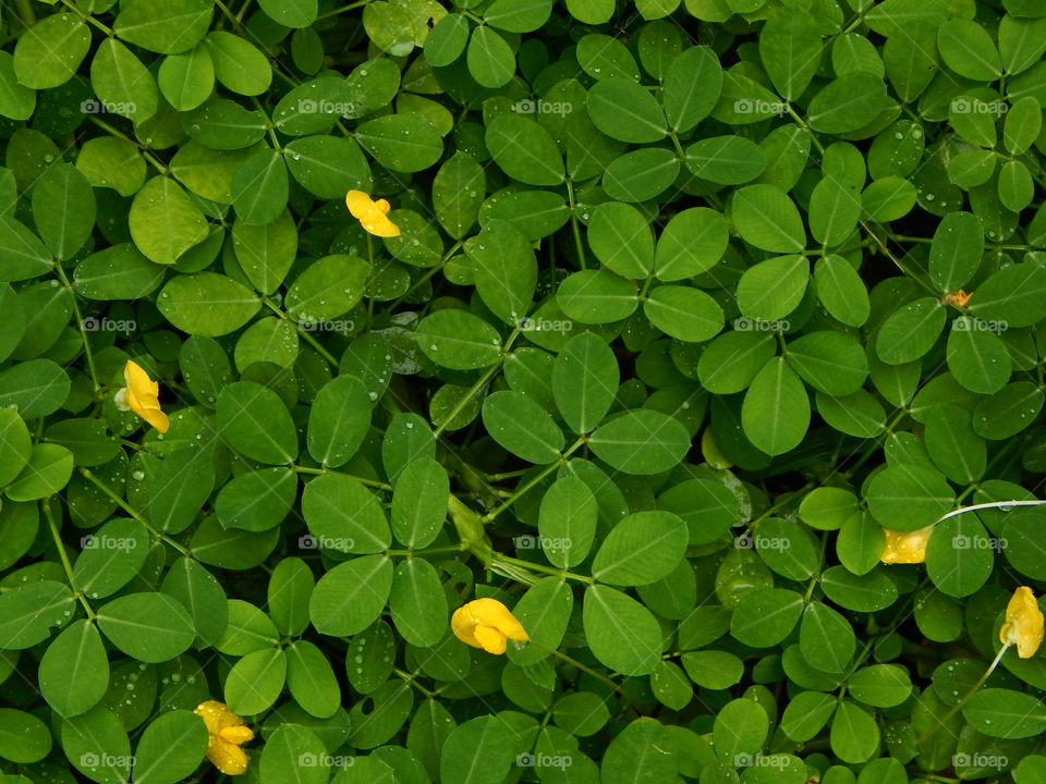 A walk through the nature.