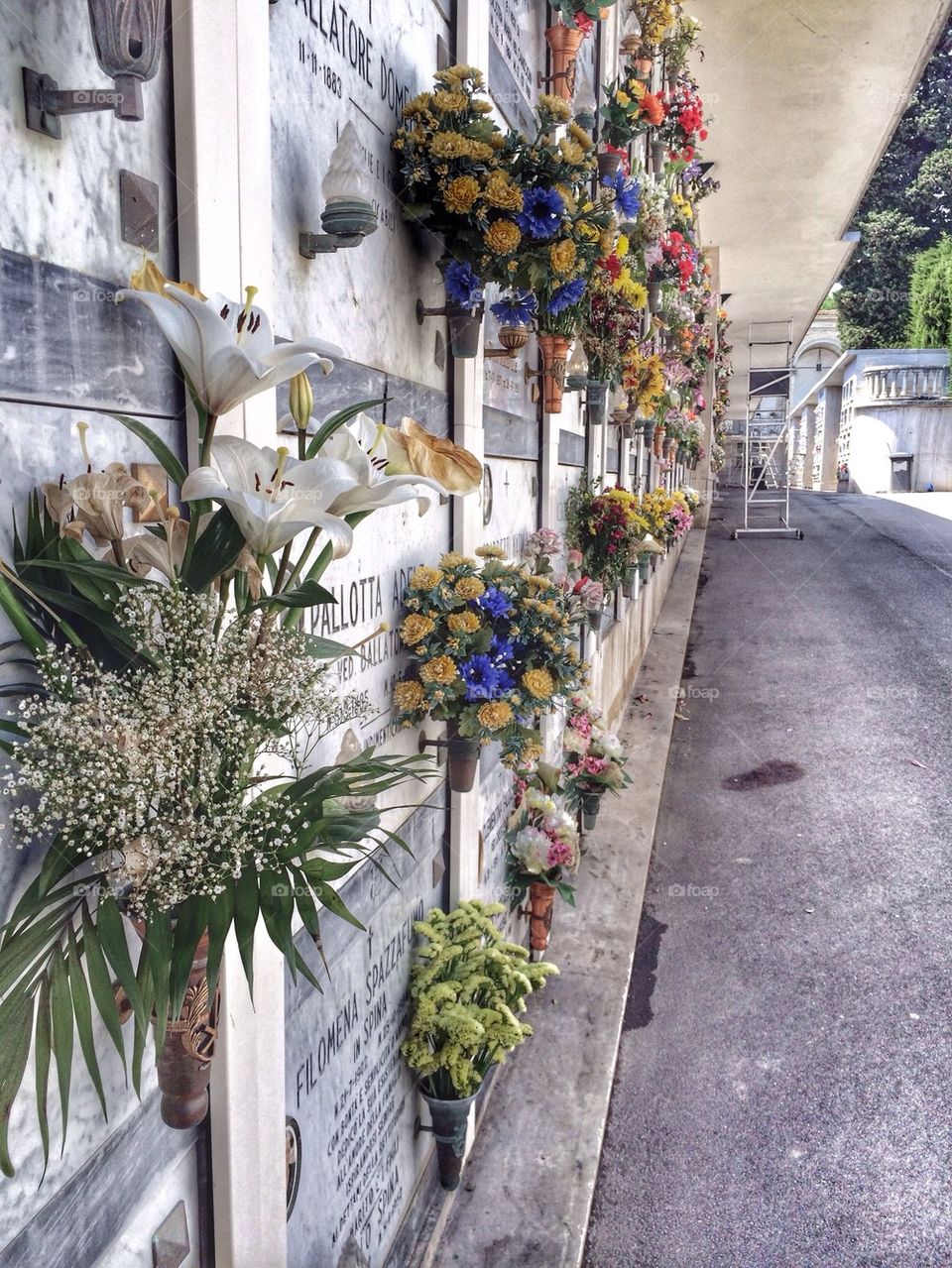 Close-up of flowers near cemetery