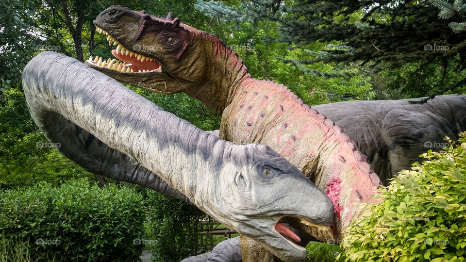 Two fighting dinosaurs