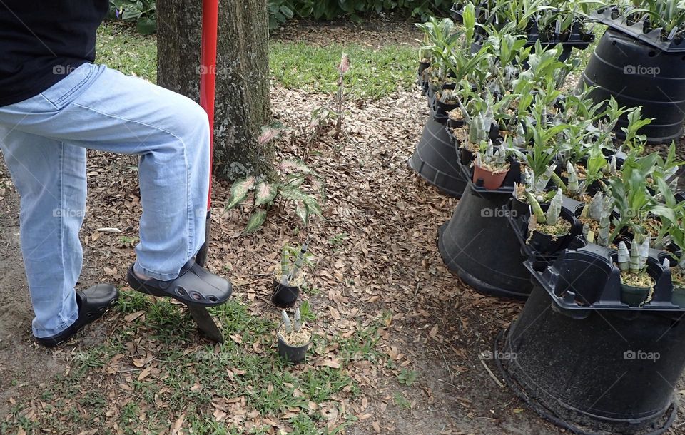 Starting to dig a hole for a potted plant