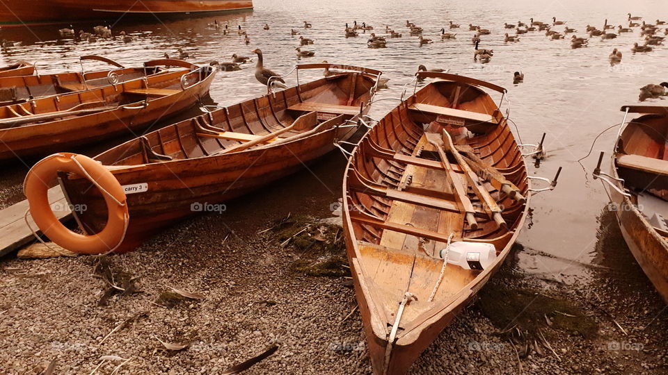 brown shade wooden rowing boats