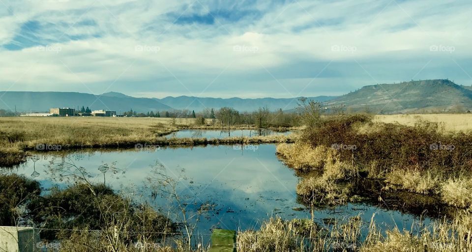 Oregon Reflective Pond