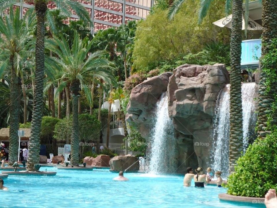 Flamingo Las Vegas pool 