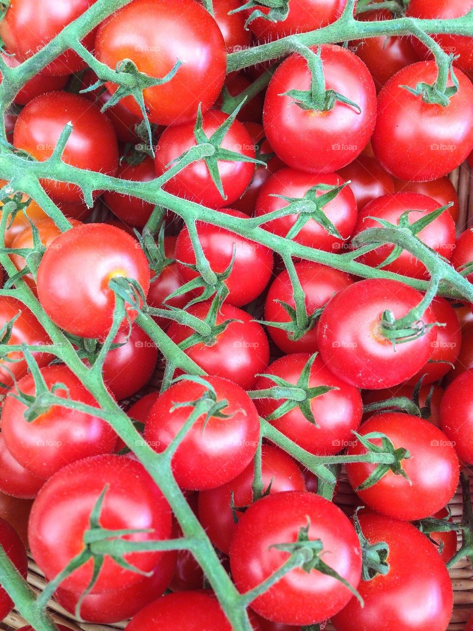 Close-up of cherry tomatoes