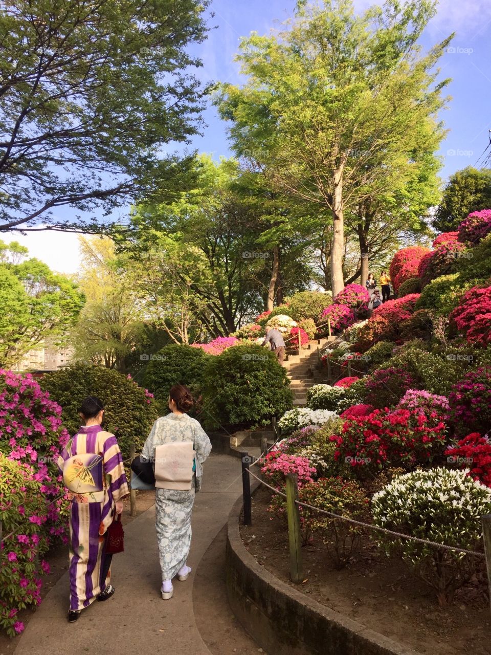 Kimono clad ladies in a Japanese garden