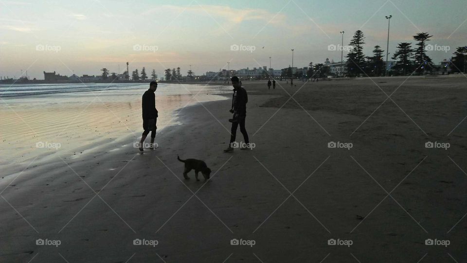 Walk with dog near the beach