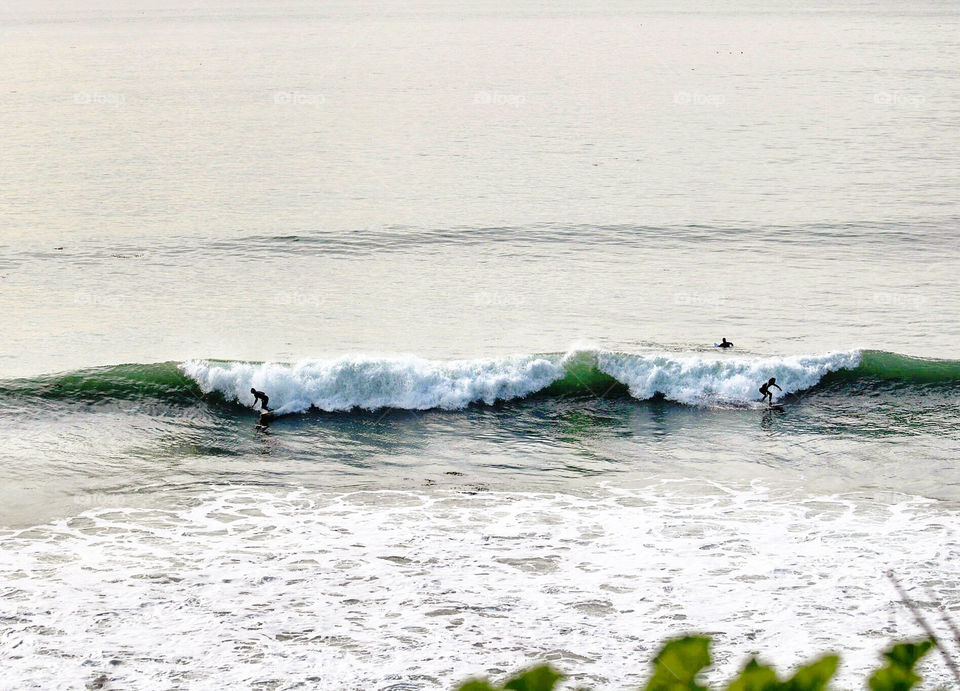 International surfing day