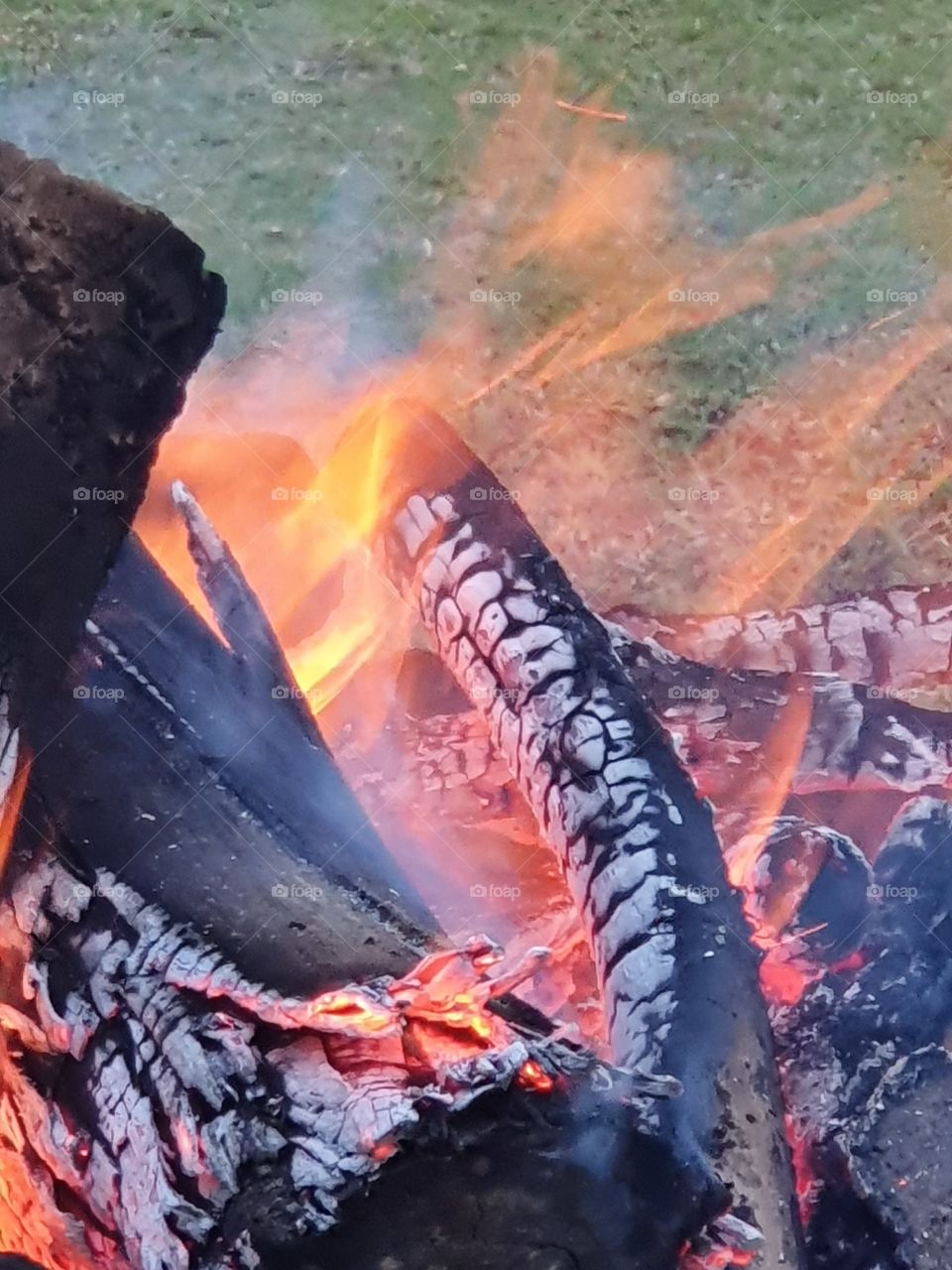bonfire in the garden