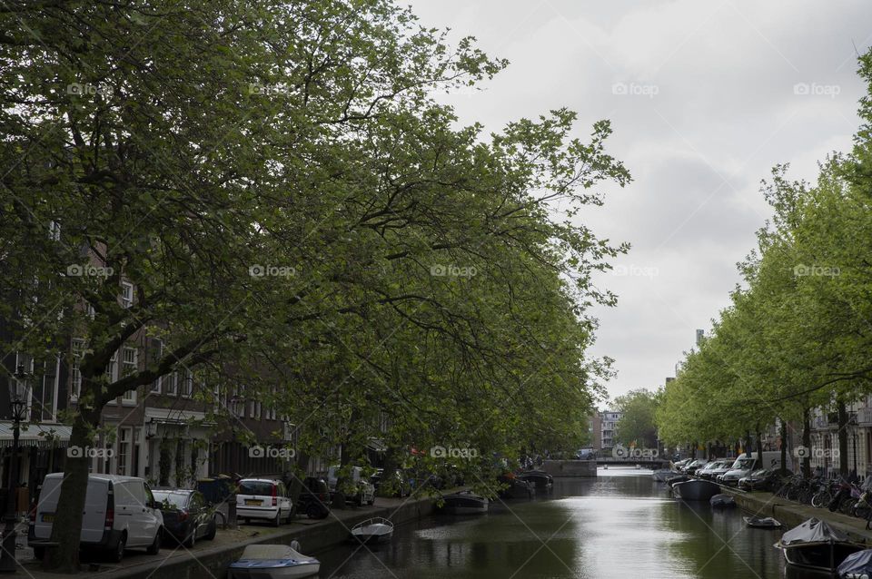 Zieseniskade And Lijnbaansgracht Canal At Amsterdam The Netherlands 26-5-2023