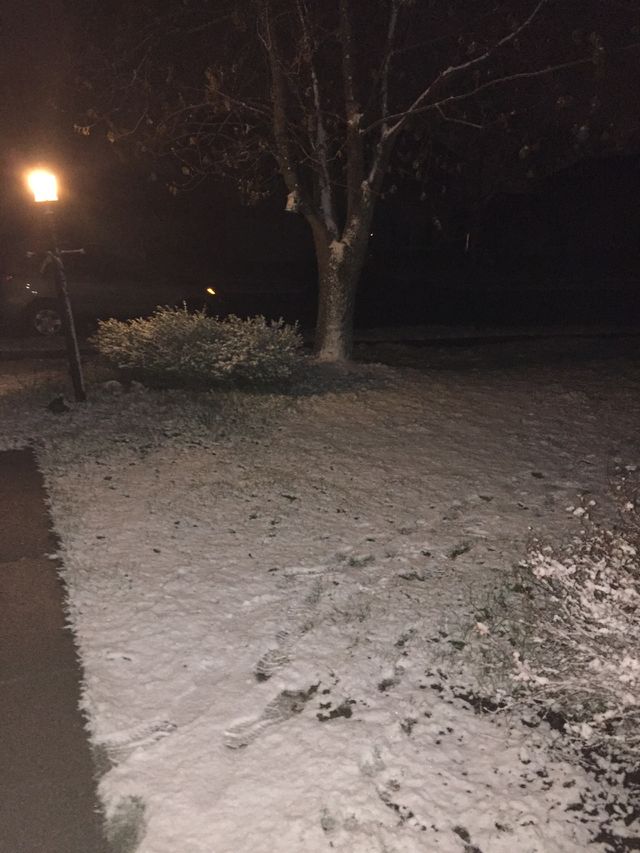 Snowy yard
