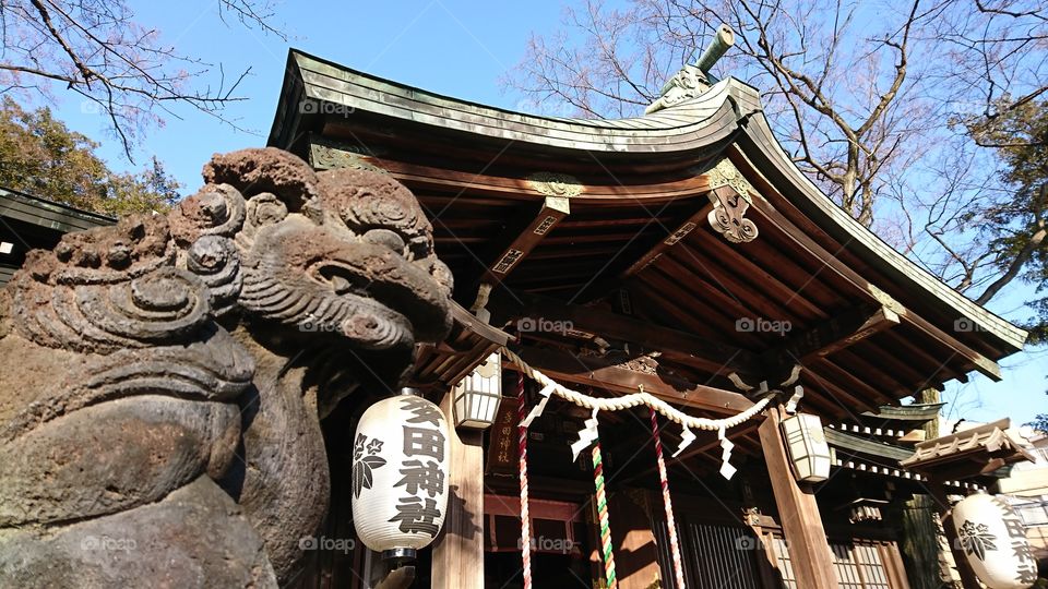 Tada shrine with lion statue