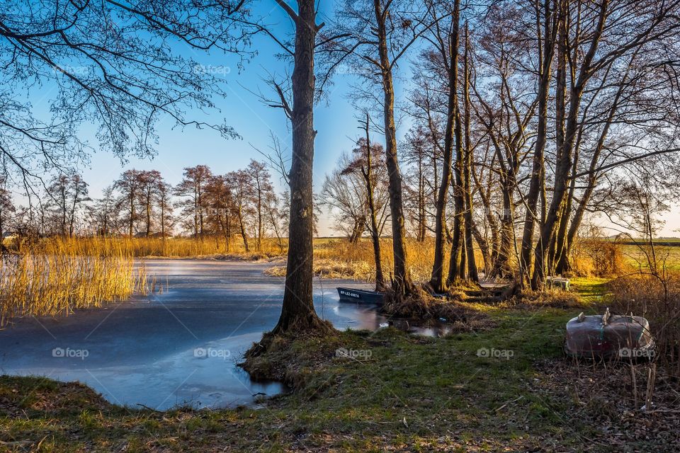 Golanice, Leszno, Poland