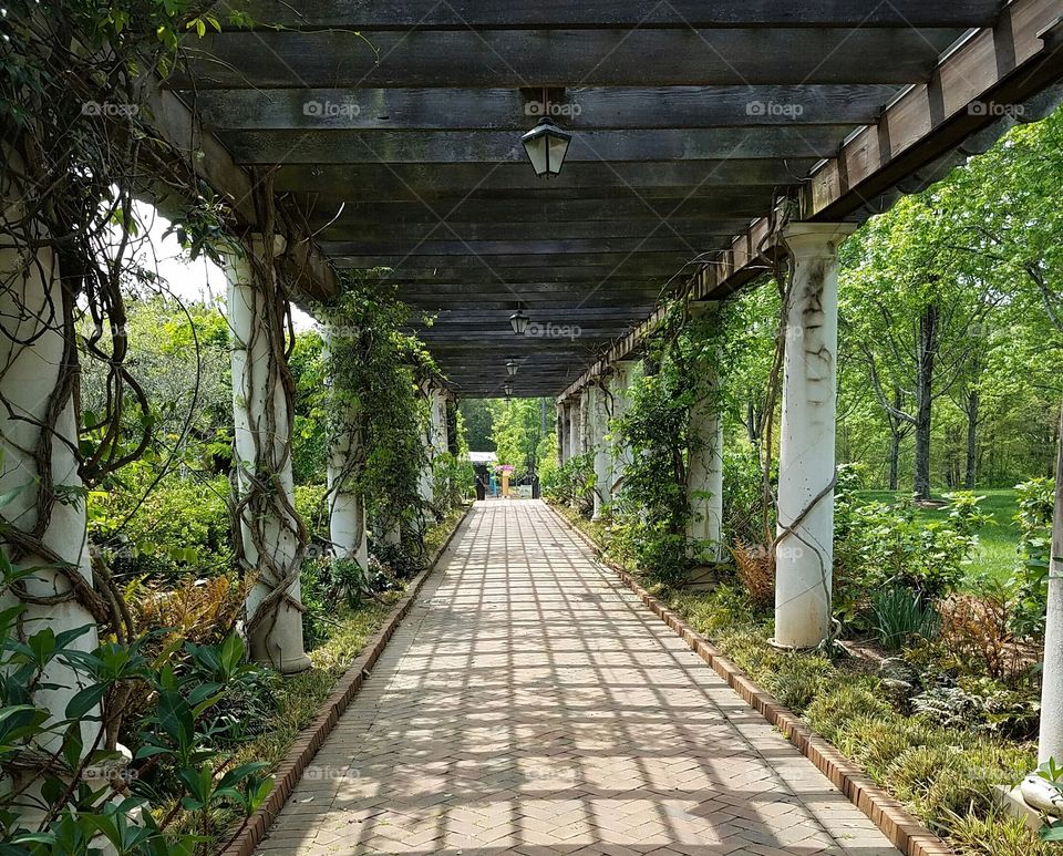 Botanical Gardens North Carolina