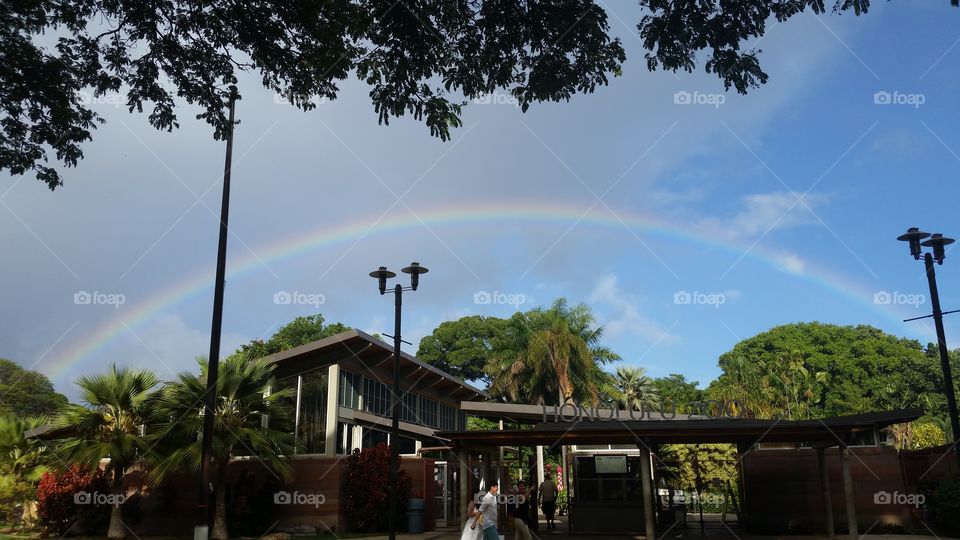 Hawaiian Rainbow