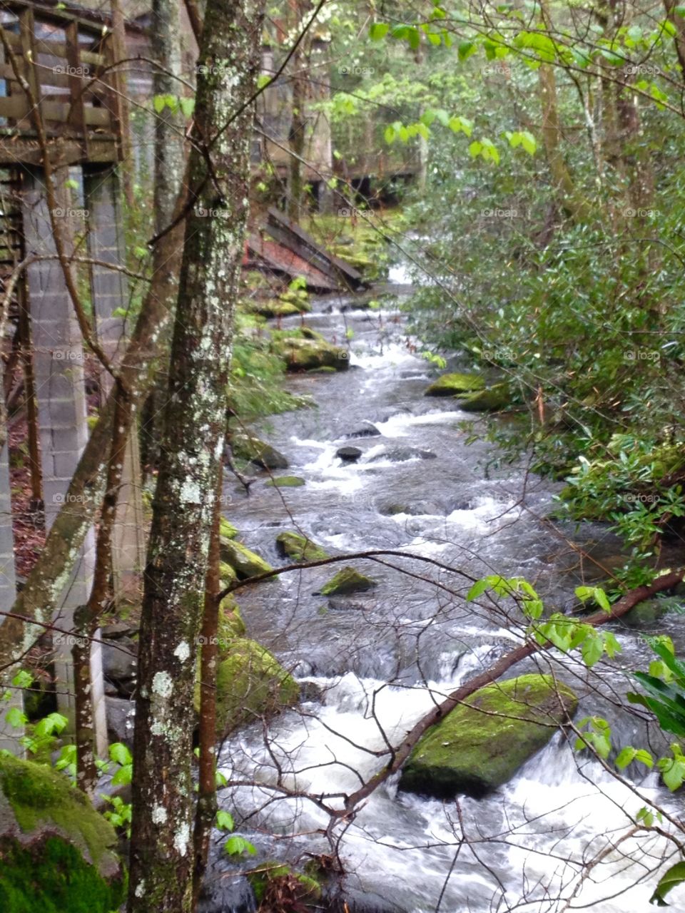 View of stream flowing through rock