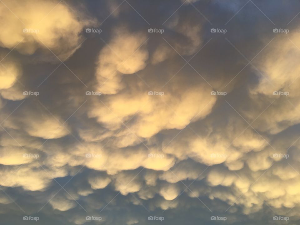 Bulbous Clouds texture