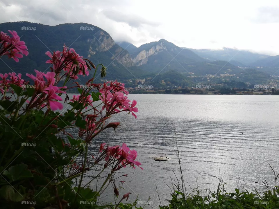 lake