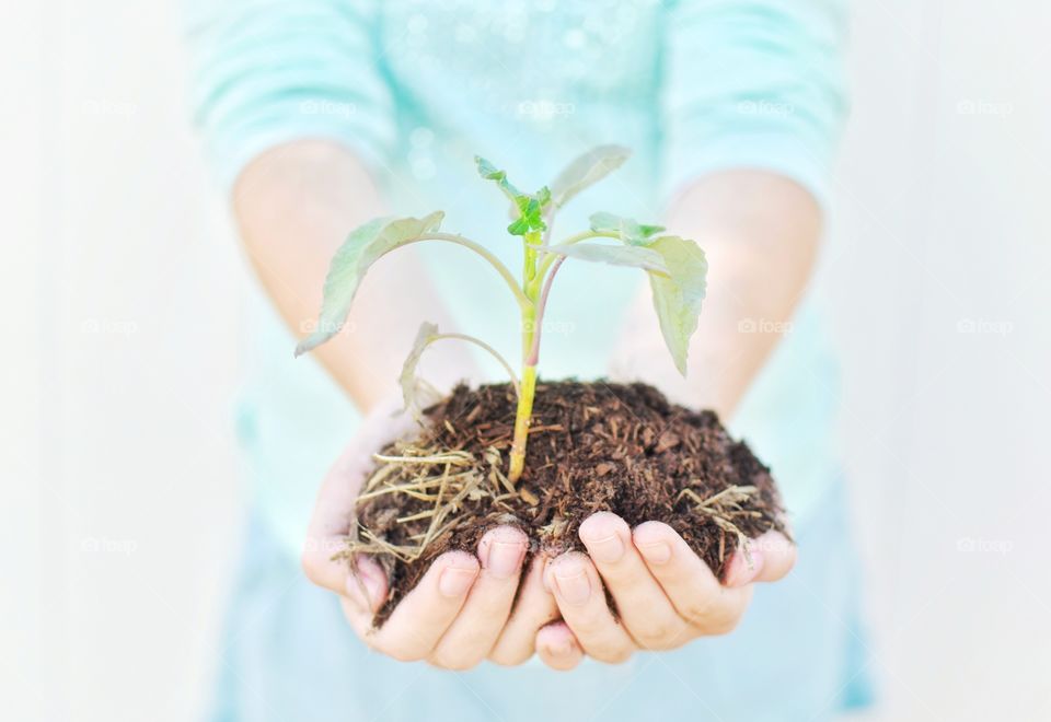 A woman in light blue is holding a small plant or sapling she's transplanting