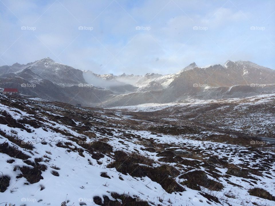 Marmot ridge