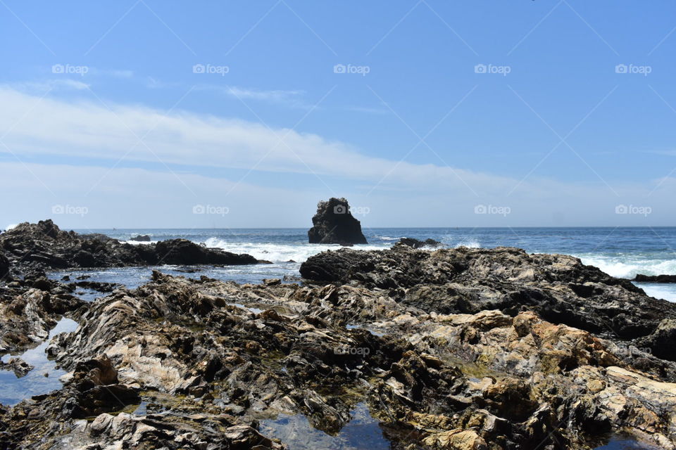 Tide pools 