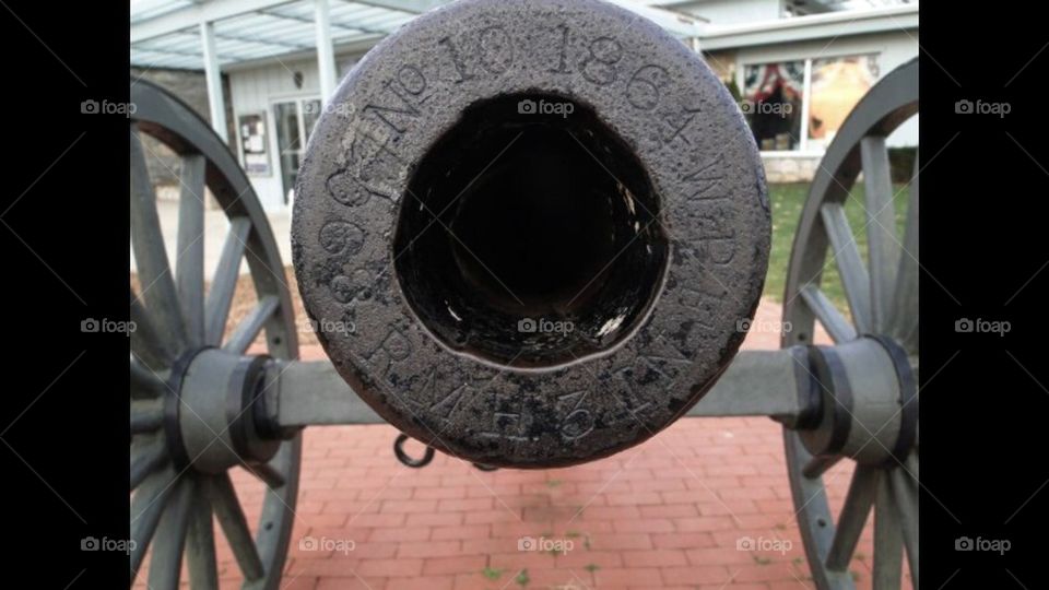 Cannon
