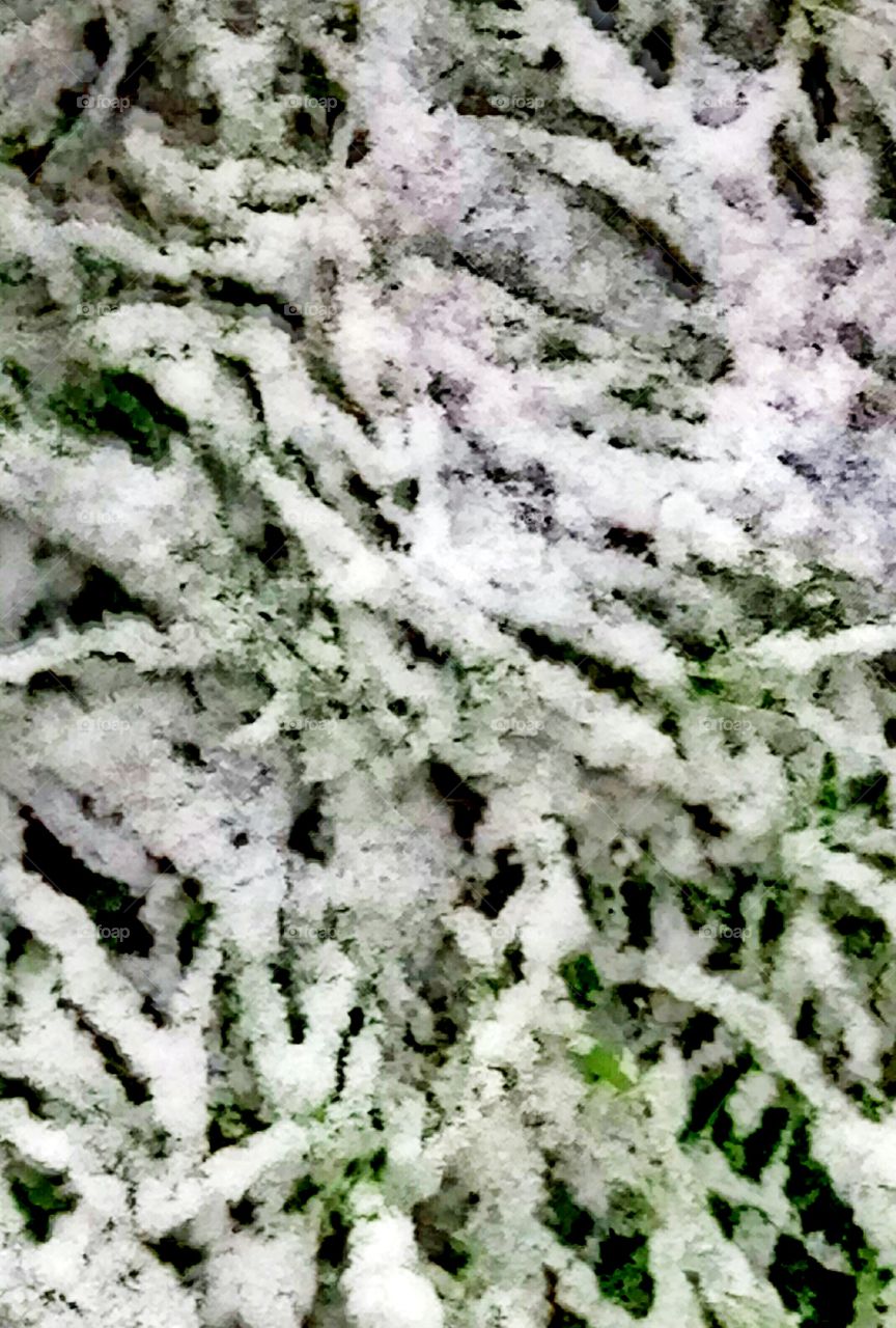 трава и снег