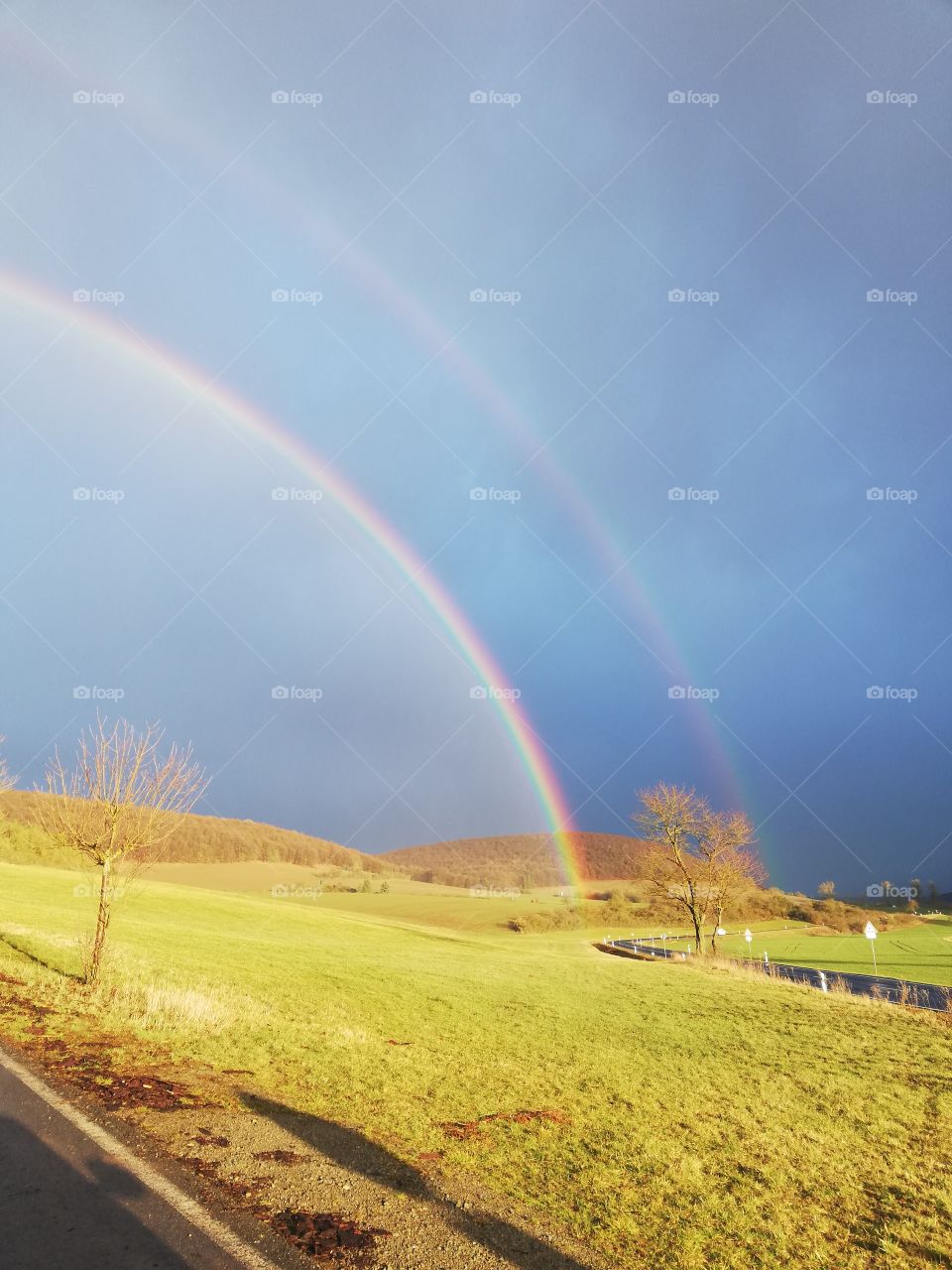 Regenbogen