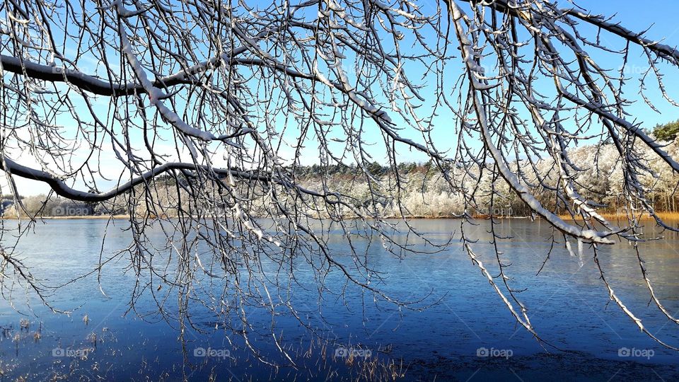 Winter landscape