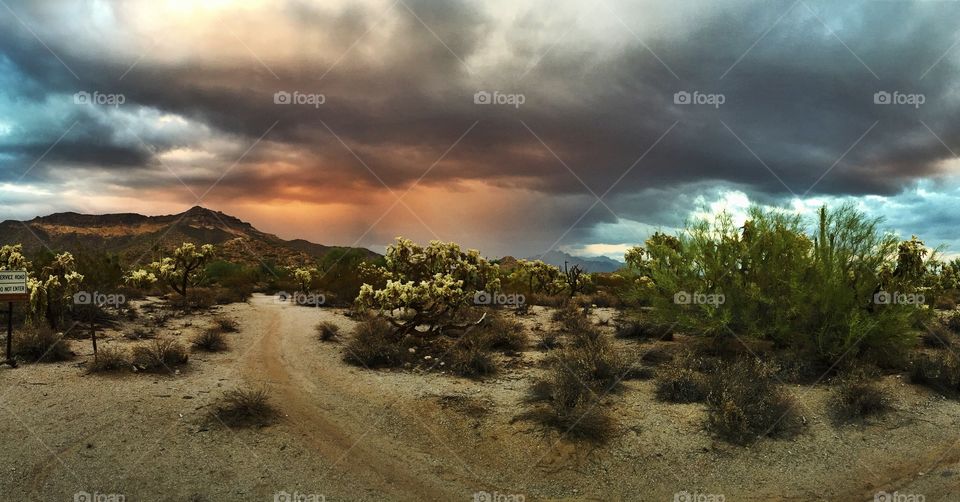 AZ desert