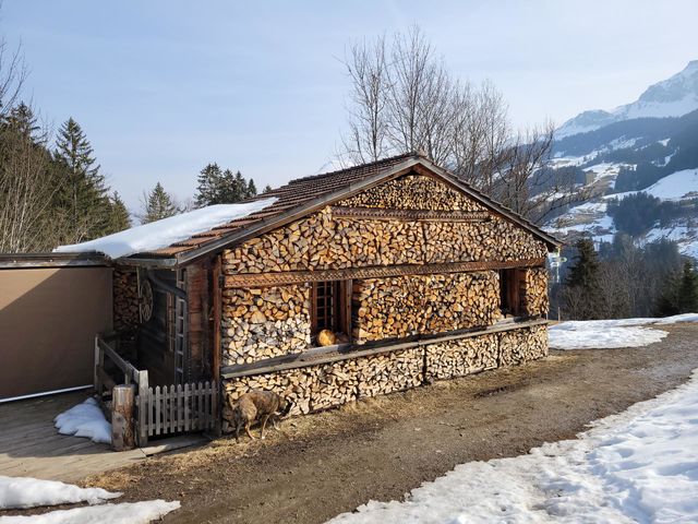 willkommen in der schweiz • welcome to switzerland