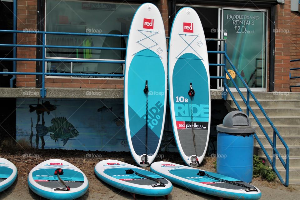 paddle rentals