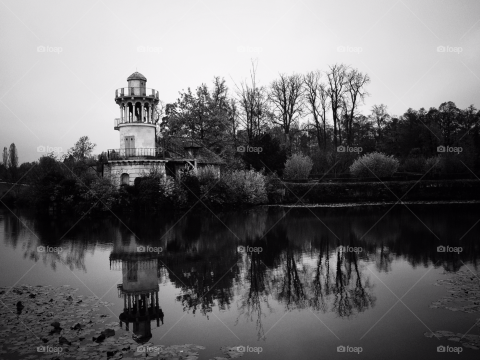 trees fall autumn reflection by a.sanz.barrio